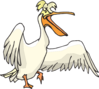 Silly Pelican Clip Art